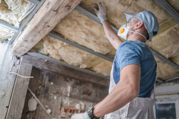 Best Residential Insulation in , IL