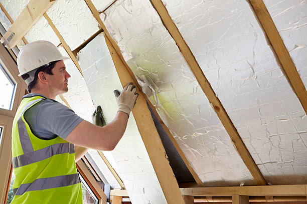 Best Insulation Maintenance and Repair in , IL