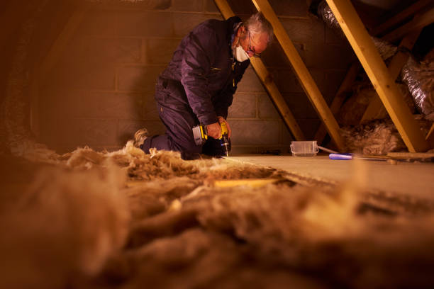 Best Residential Insulation in , IL